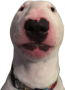 SupaPhly
